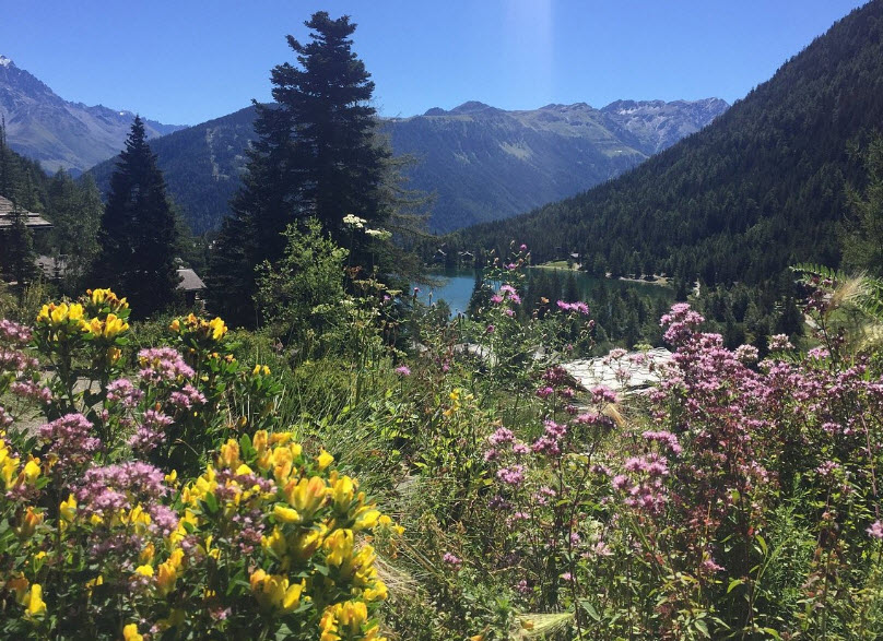Alpin Flore-Alpe Botanical Garden, Orsières, Switzerland, Switzerland